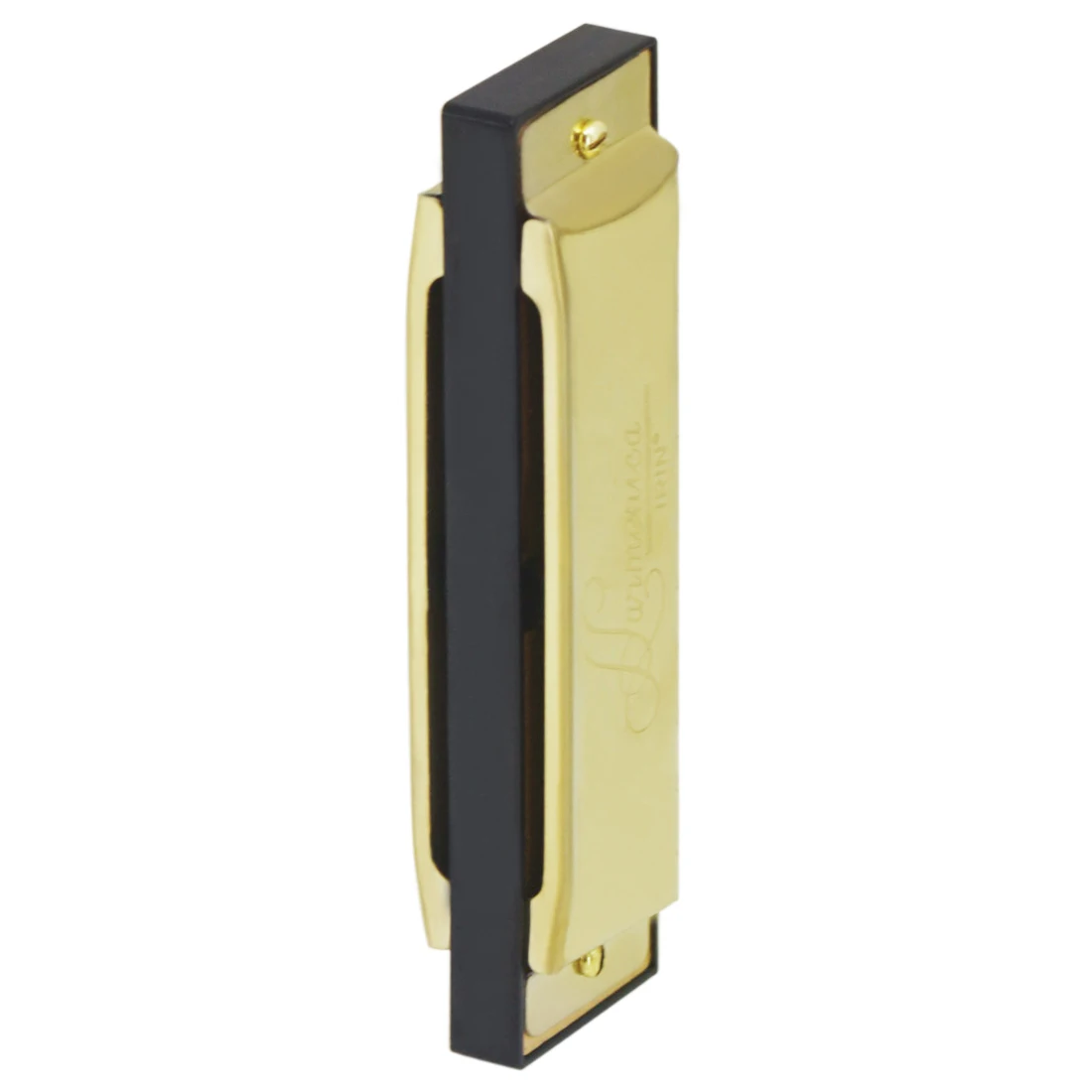 IRIN Harmonica 10 Hole 20 Tone - đánh giá và giá Musical Instruments Names