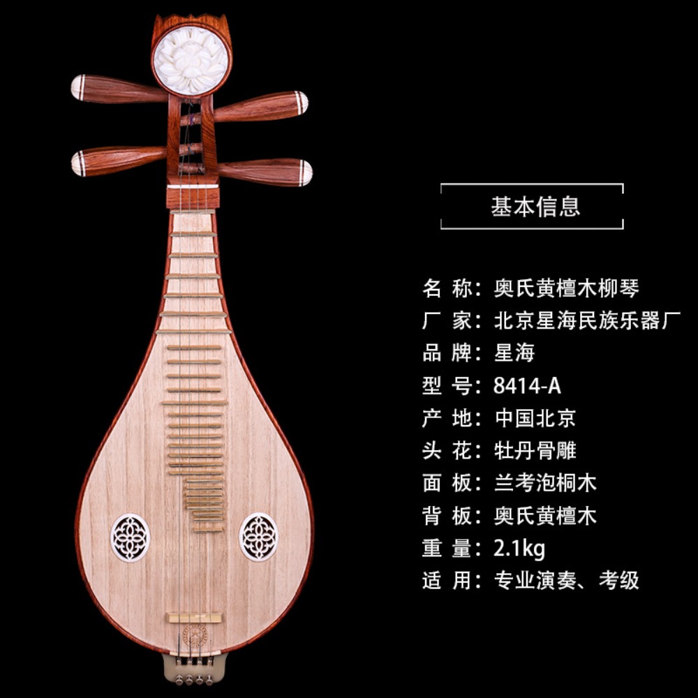 Beijing Xinghai 8414-A Rosewoo - đánh giá và giá Musical Instruments