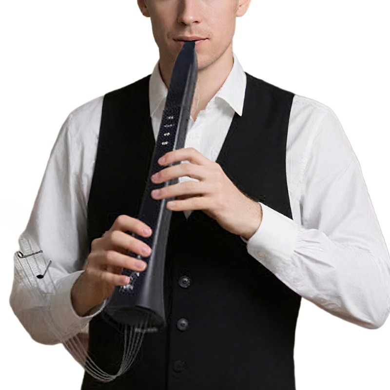 Portable Electronic Wind Instr - đánh giá và giá Musical Instruments